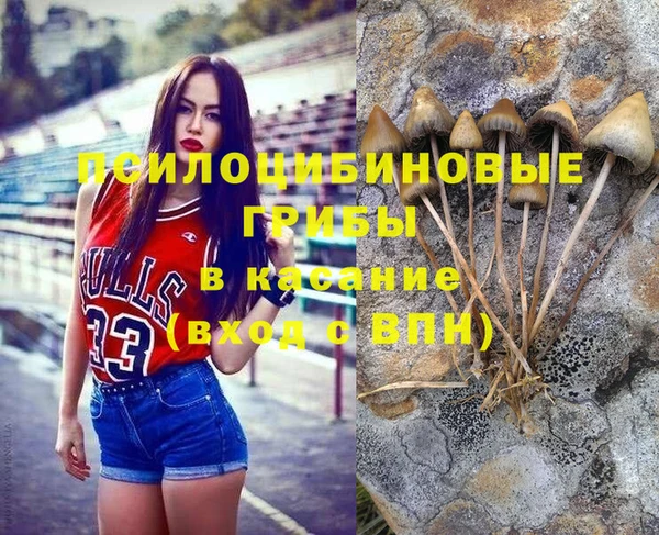твердый Зерноград